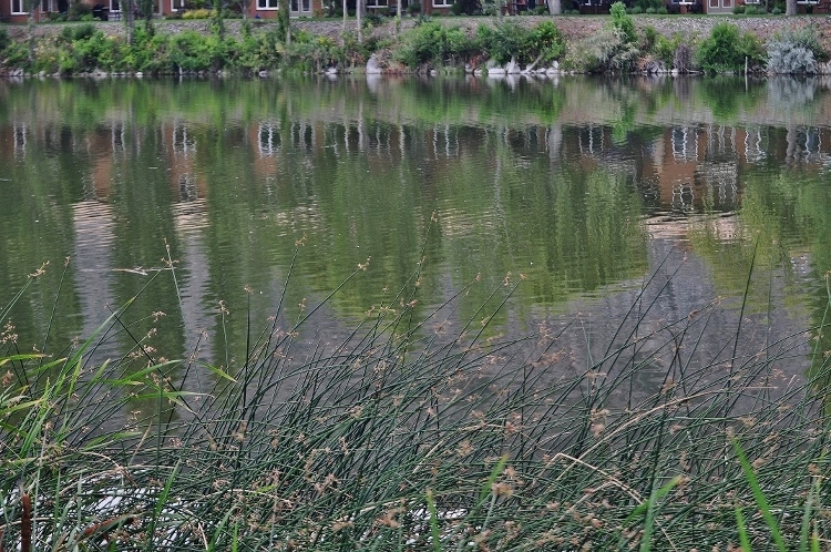 beach park 
